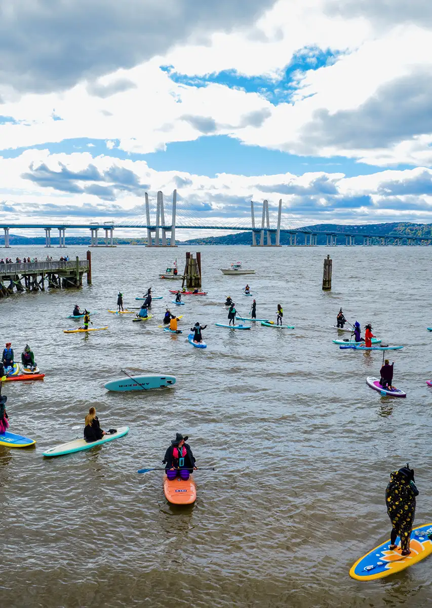 Gallery image 8